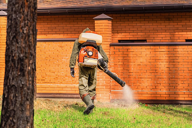 Trusted Mosquito Control service in Makawao, HI - Nex Pest Control